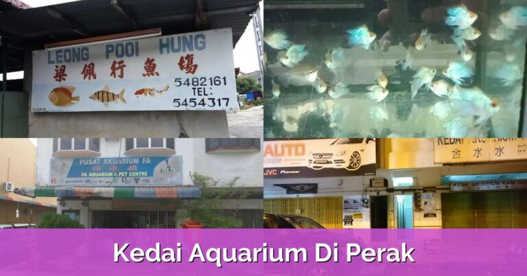 9 Kedai Aquarium Di Perak