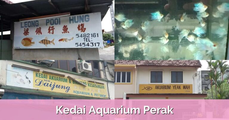 7 Kedai Aquarium Perak