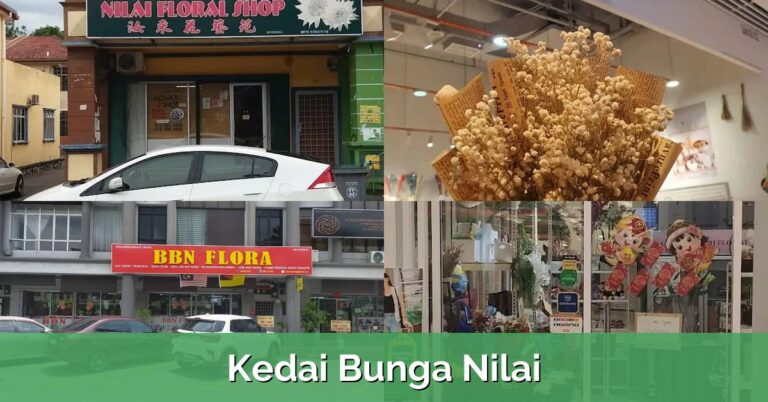 15 Kedai Pancing Klang Terbaik, Murah & Berkualiti