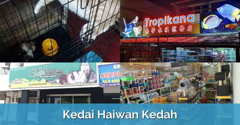 8 Kedai Haiwan Kedah