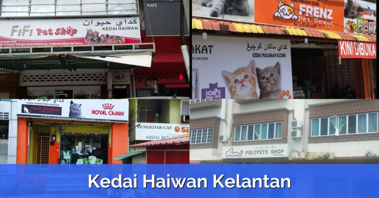 6 Kedai Haiwan Kelantan