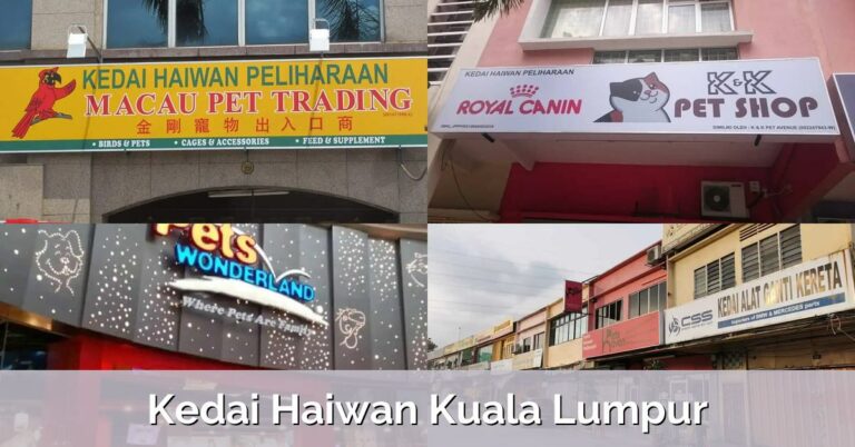 10 Kedai Haiwan Kuala Lumpur
