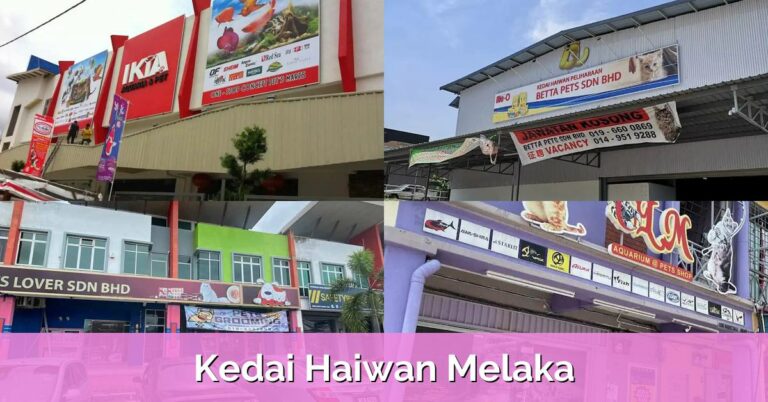 18 Harga Mesin Bancuh Simen Terkini di Malaysia
