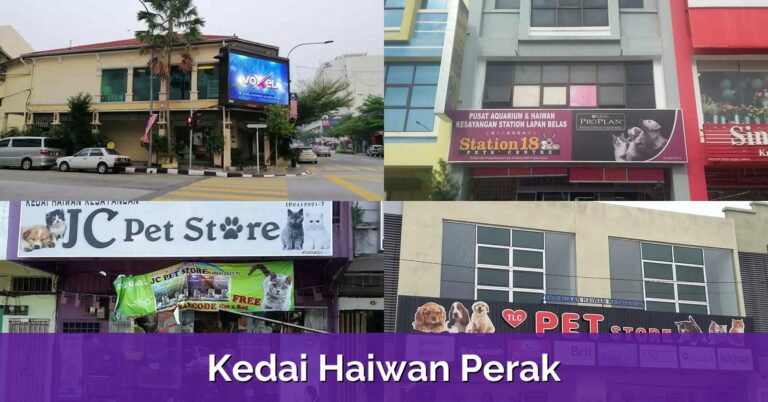8 Kedai Haiwan Perak