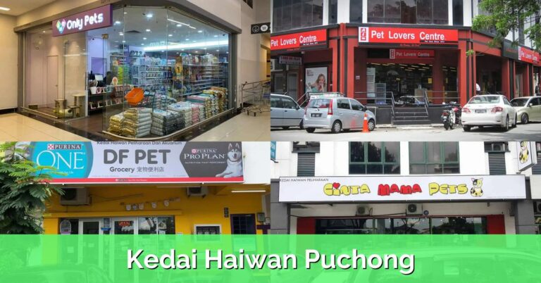 10 Kedai Haiwan Puchong