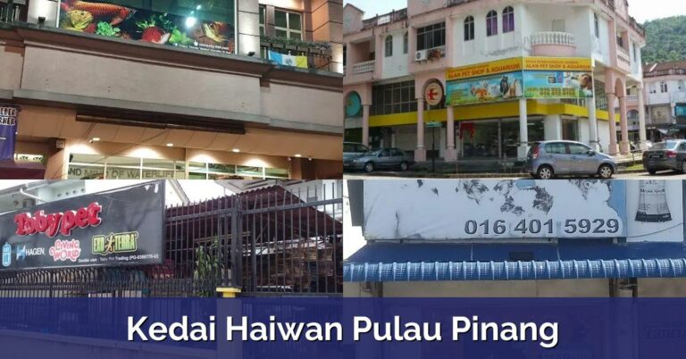 10 Kedai Haiwan Pulau Pinang