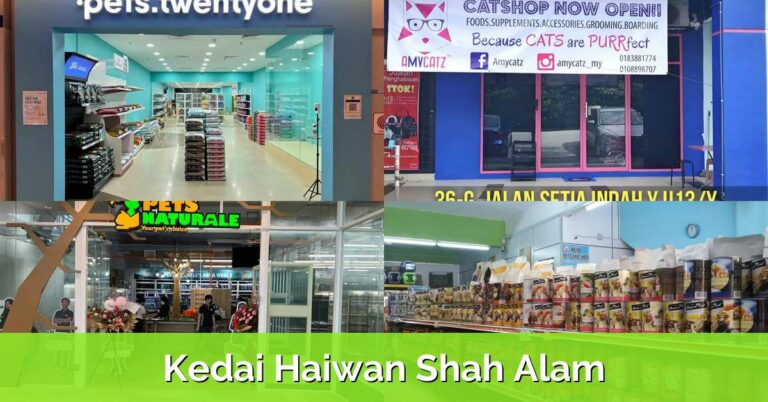 Spesifikasi dan Harga iPhone 6s Terkini di Malaysia