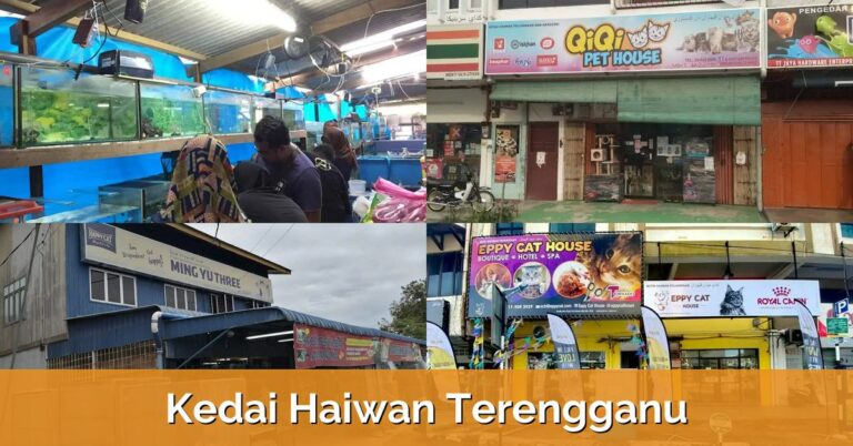 7 Kedai Haiwan Terengganu