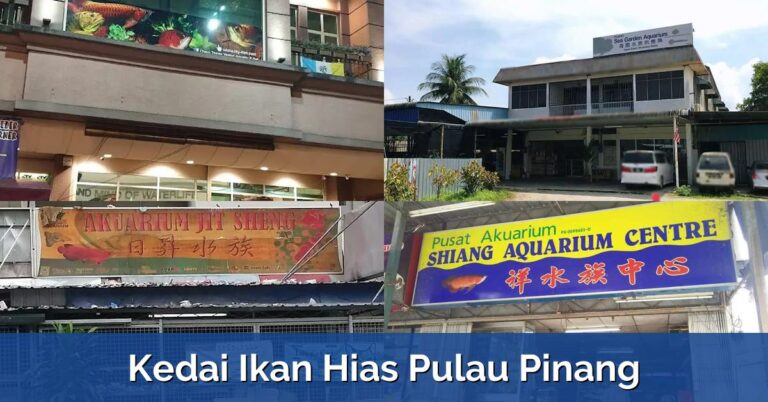 7 Kedai Ikan Hias Pulau Pinang