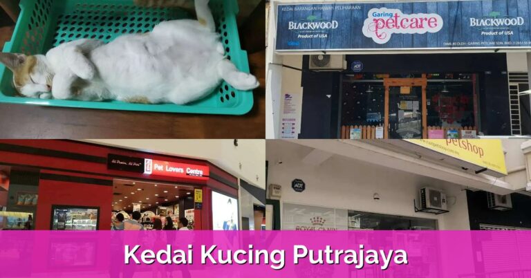 9 Kedai Kucing Putrajaya