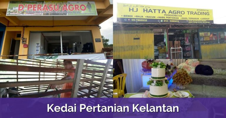Spesifikasi dan Harga Vivo Y35 Terkini di Malaysia